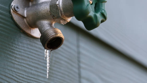 Best Drain Cleaning Services  in Shady Cove, OR